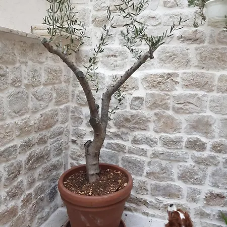 Villa Kudelik - Stone Story 4*